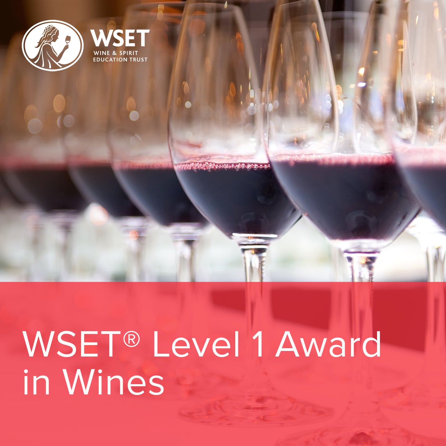 WSET 1 级葡萄酒-23/11/27-旧版