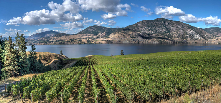 Wine Classes in Penticton, BC