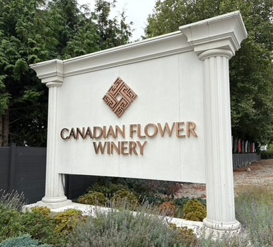 WSET Level 2 Wine - in Chinese - November 1st 2025