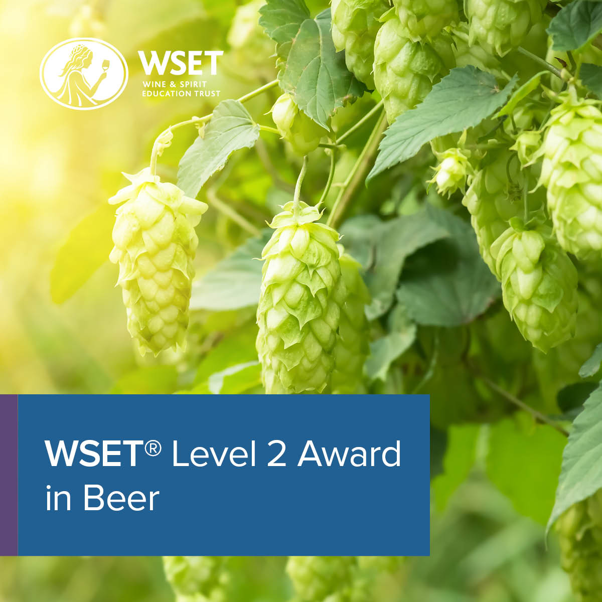 -WSET Level 2 Award in Beer