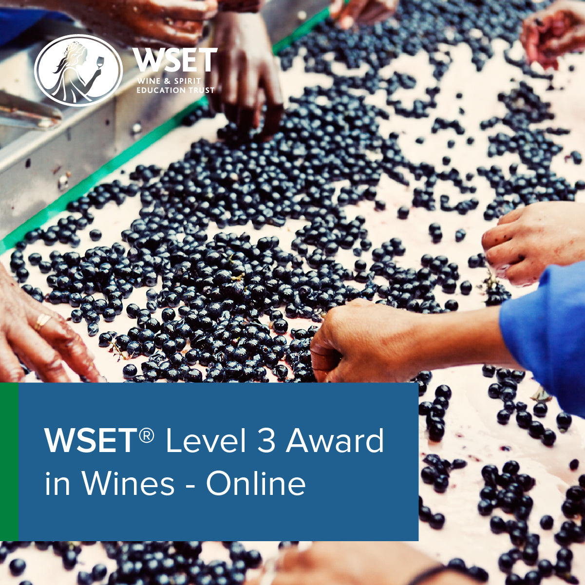 Online Class: WSET Wine Level 3 - December 8th 2025