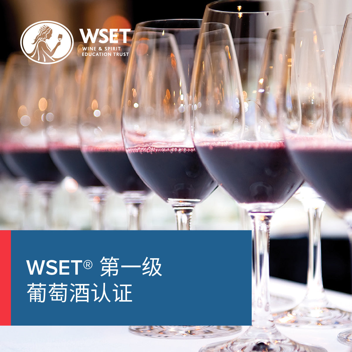 WSET Level 1 Wine - in Chinese - March 21st, 2025