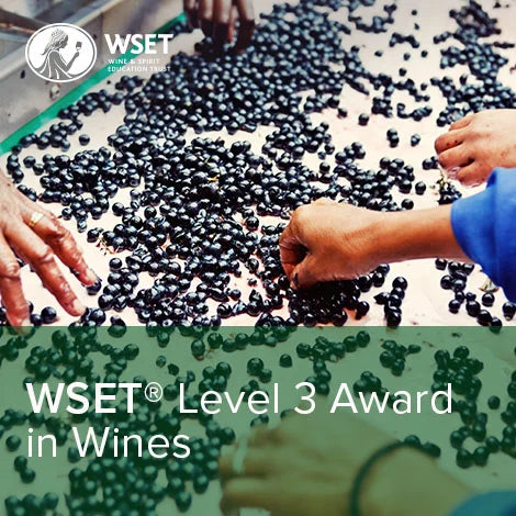 WSET Wine L3 with Statera Academy