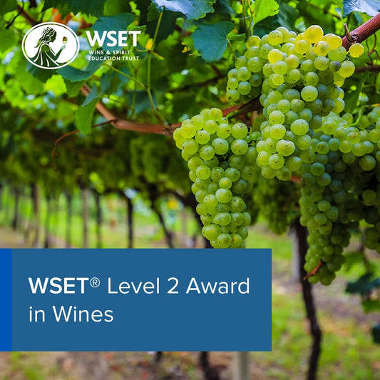 WSET Wine L2 with Statera Academy