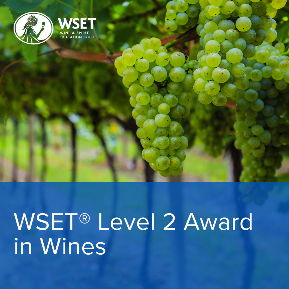 WSET 葡萄酒等级 2-2024 年 3 月 11 日-传承之味
